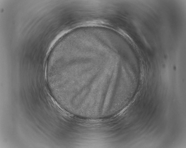 X0000053061224200508011905