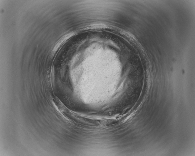 X0000053061225200508011905