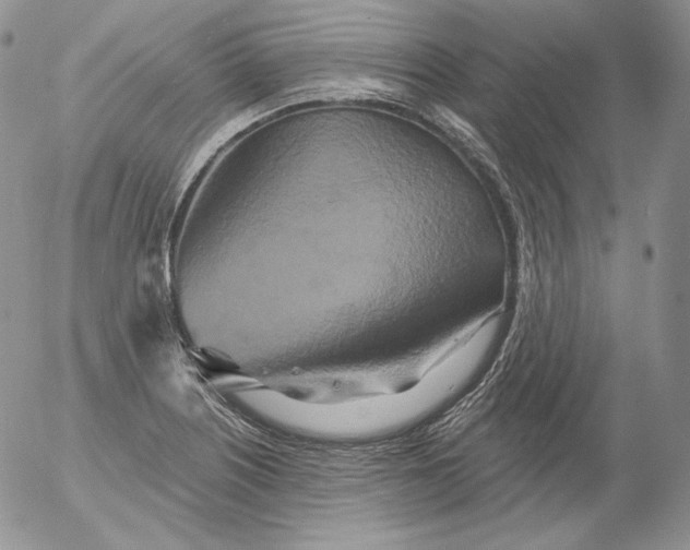 X0000053061226200508011905