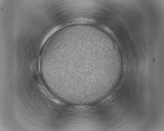 X0000053061227200508011905