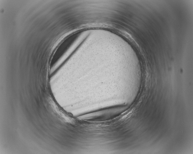 X0000053061228200508011905