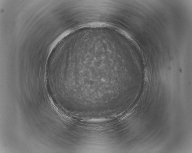 X0000053061229200508011905