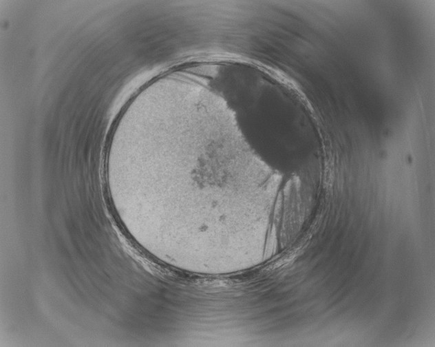 X0000053061231200508011905