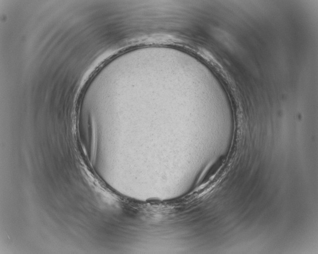 X0000053061232200508011905