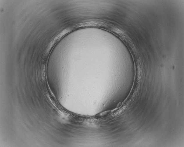 X0000053061233200508011905