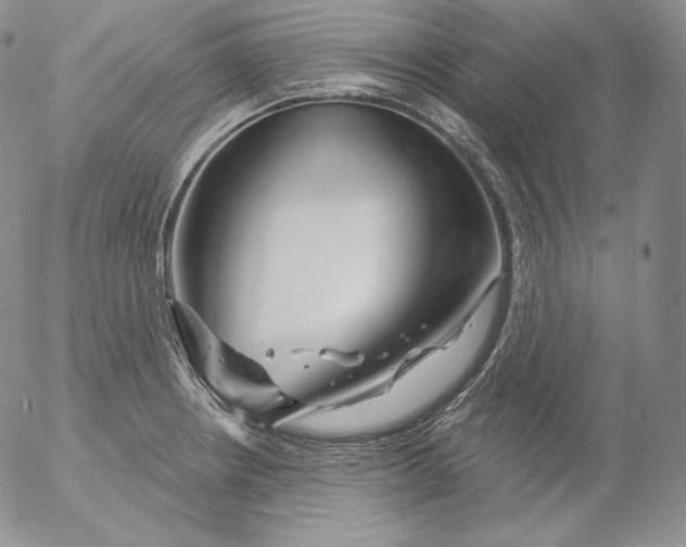 X0000053061234200508011905