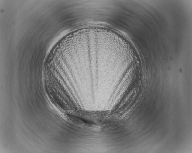 X0000053061235200508011905