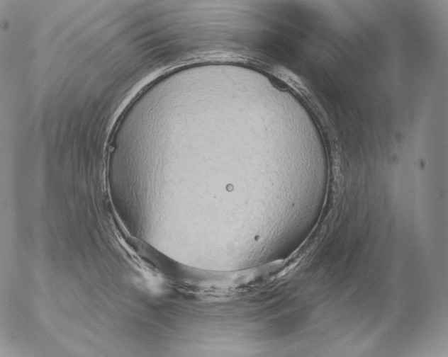 X0000053061236200508011905