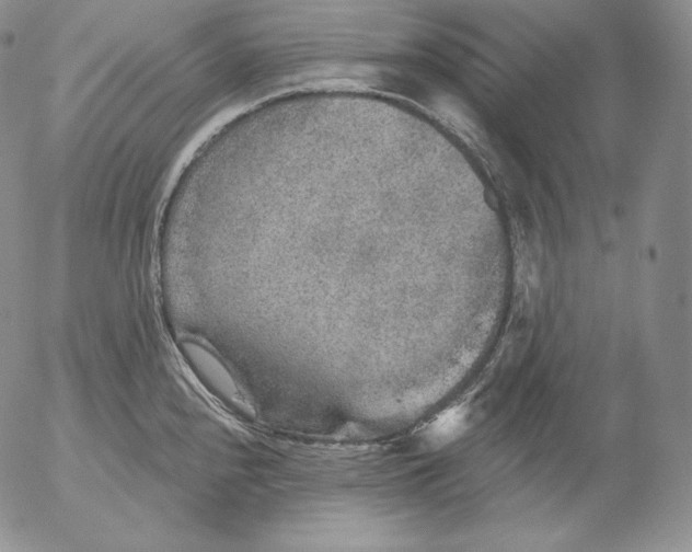 X0000053061240200508011905