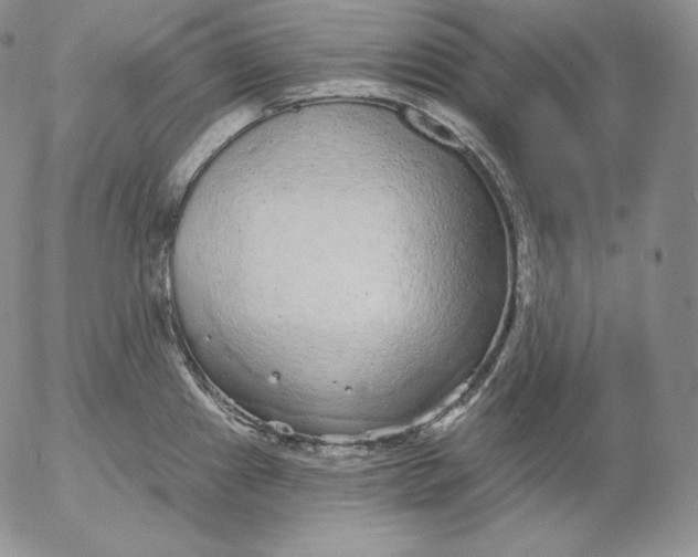 X0000053061241200508011905