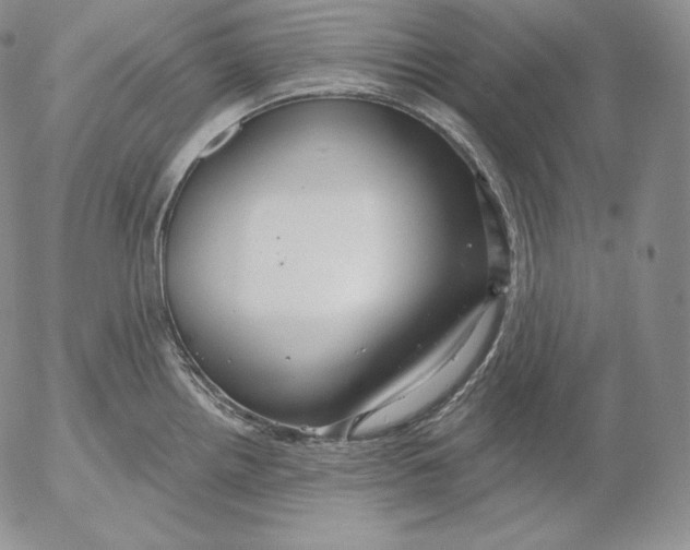 X0000053061242200508011905