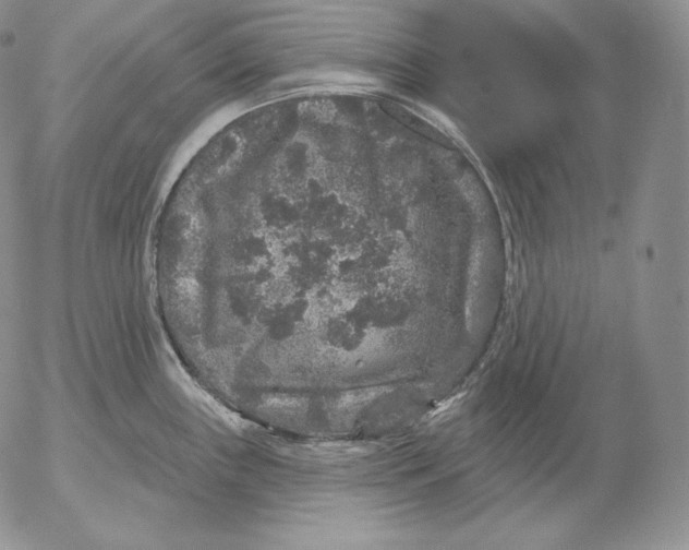 X0000053061243200508011905