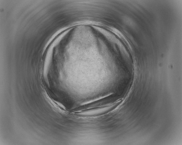 X0000053061244200508011905