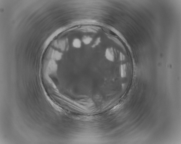 X0000053061245200508011905