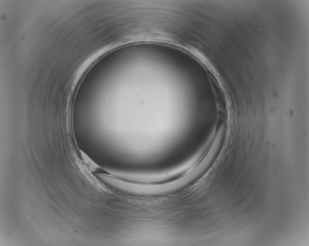 X0000053061246200508011905