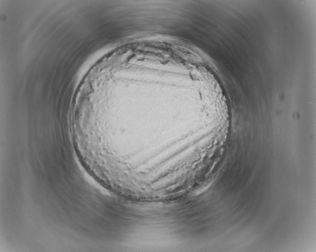 X0000053061247200508011906