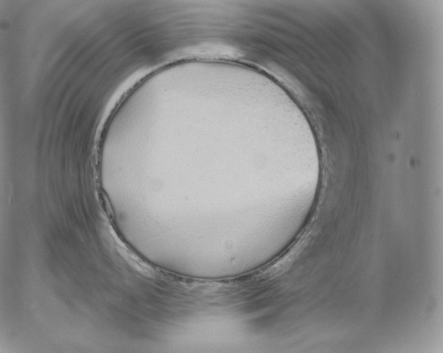 X0000053061248200508011906