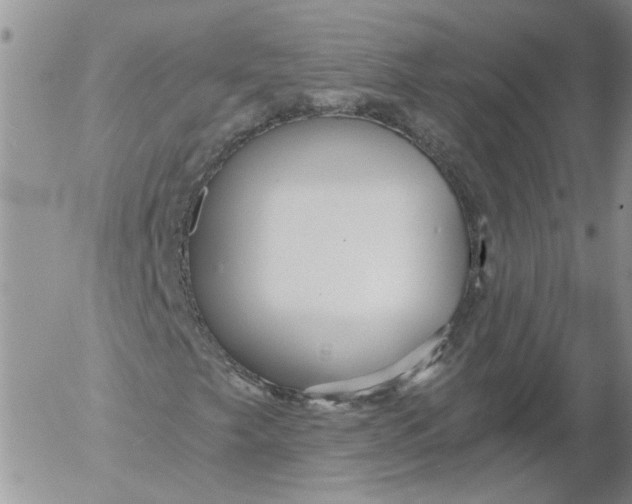 X0000053061249200508011905