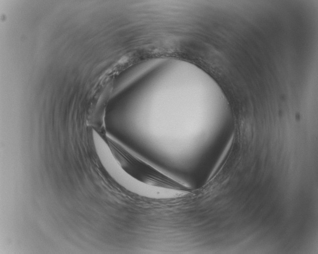 X0000053061250200508011905