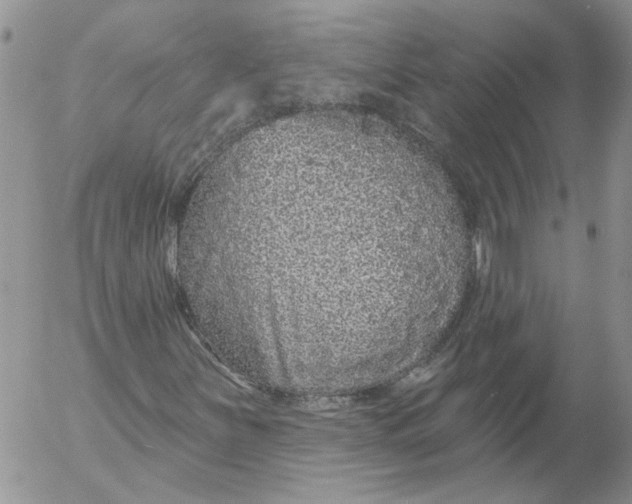 X0000053061251200508011905