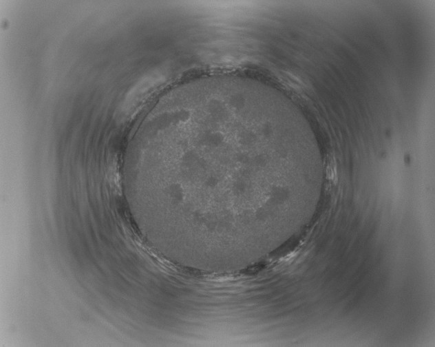 X0000053061252200508011905