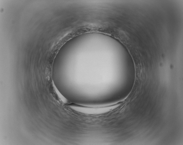 X0000053061253200508011905