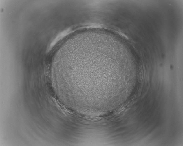 X0000053061255200508011905