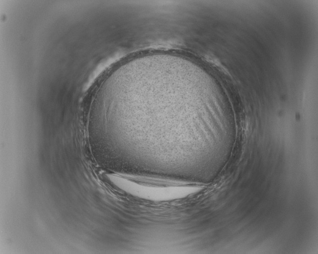 X0000053061256200508011905