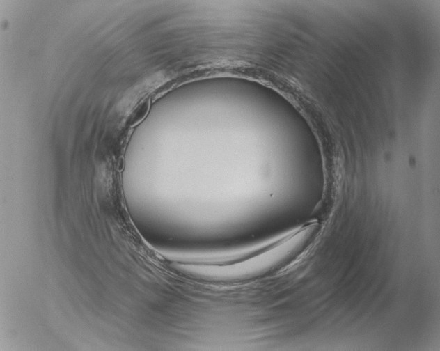 X0000053061257200508011905