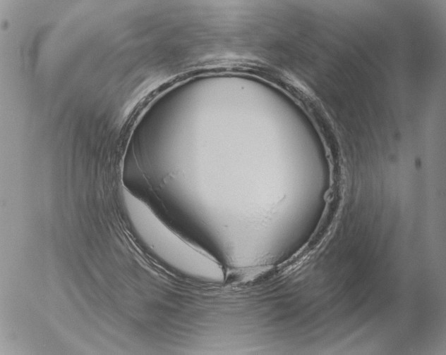 X0000053061259200508011905