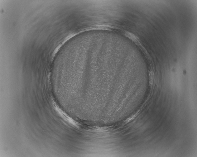 X0000053061260200508011905