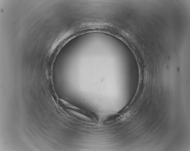 X0000053061261200508011905