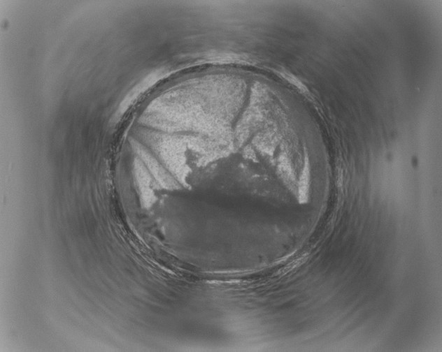 X0000053061263200508011904