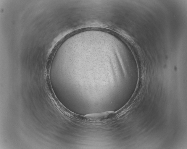 X0000053061264200508011904