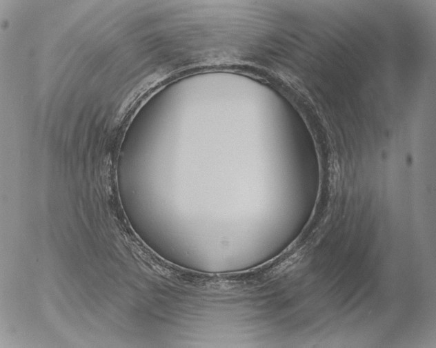 X0000053061265200508011904