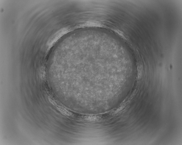 X0000053061266200508011904