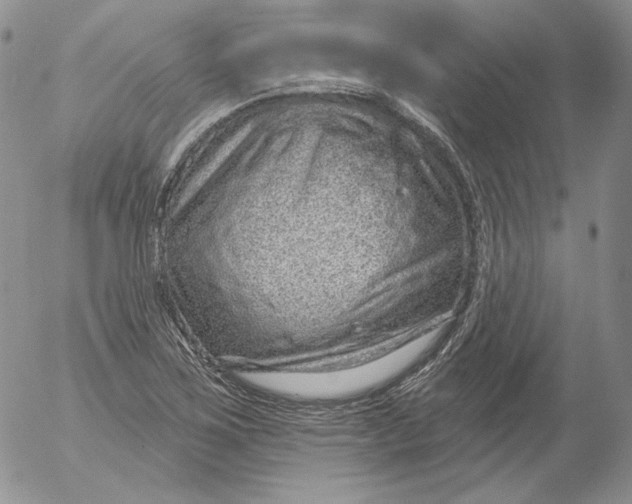 X0000053061267200508011904