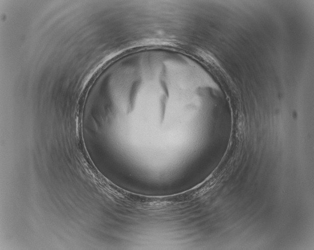 X0000053061268200508011904