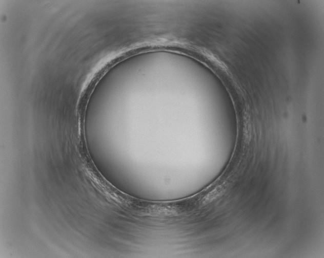 X0000053061270200508011904