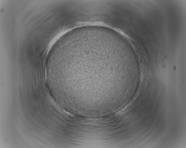 X0000053061271200508011904