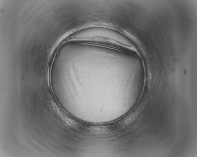 X0000053061272200508011904