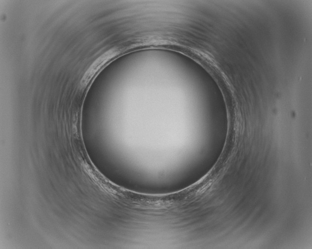 X0000053061273200508011904