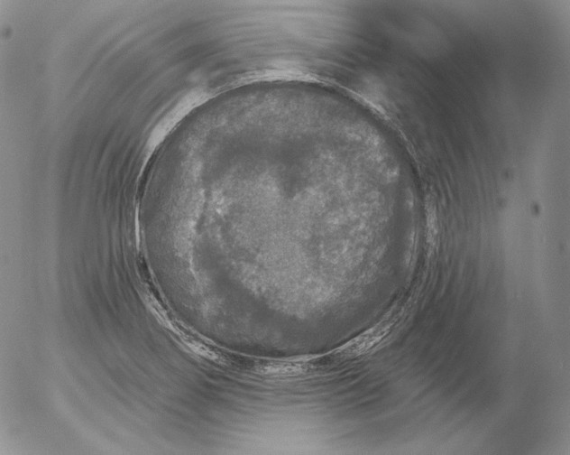 X0000053061274200508011904