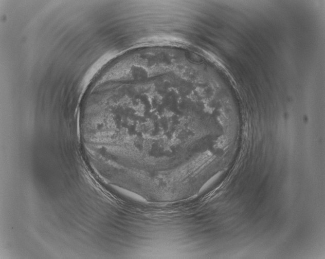 X0000053061275200508011904