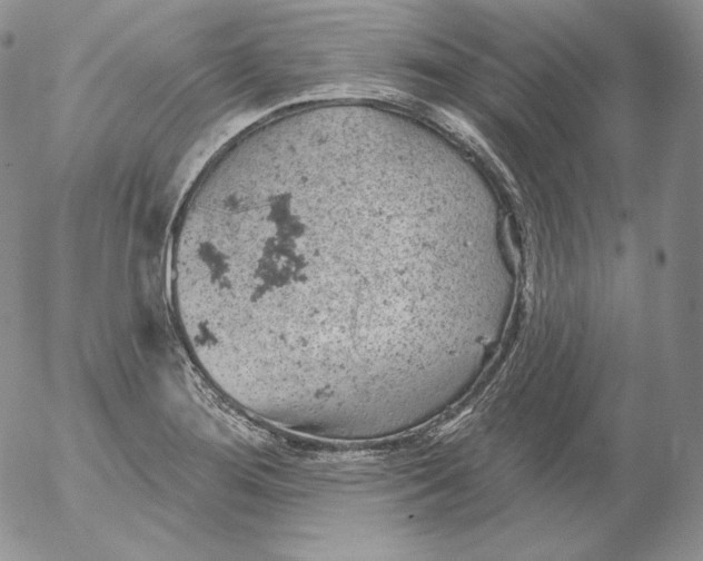 X0000053061276200508011904