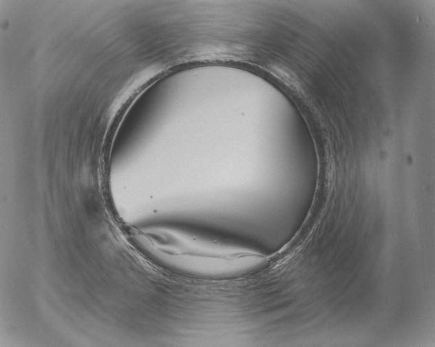 X0000053061277200508011904