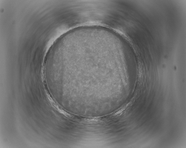 X0000053061278200508011904