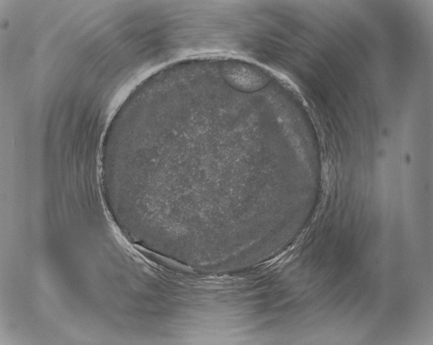 X0000053061279200508011904