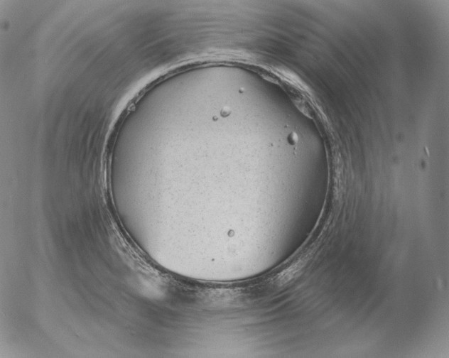 X0000053061280200508011904