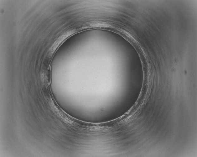 X0000053061281200508011904